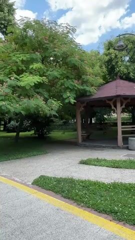 This is a wide shot of a park. In the foreground, there is a paved path with a yellow line. To the right of the path is a grassy area. Beyond the grass is a gazebo. To the left of the path is a grassy area with trees. A large tree with pink flowers is in the center of the frame. The sky is blue with some clouds. The video pans to the left.