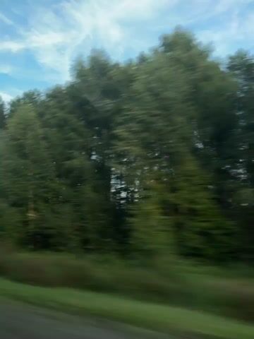 The video shows a blurred view of trees and a blue and yellow signpost from a moving vehicle. The sky is visible in the background with some clouds. The signpost appears to have text or symbols on it, but they are not legible due to the motion blur. The scene suggests a roadside view during daytime.