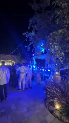 The video shows an outdoor party at night.  There are many people dancing and socializing. The area is lit with blue lights and string lights. There are trees and stone buildings in the background. Some people are wearing formal attire, such as dresses and suits.  The ground is paved with stones.  A DJ booth with lights is visible in the distance.