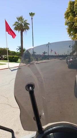 The video shows a street scene in a sunny environment. Palm trees and red flags line the street. People are walking on the sidewalk. Cars are parked along the side of the street. A motorcycle drives down the street. An airplane is visible in the sky.