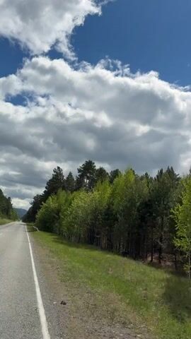 The camera is moving along a paved road, capturing the passing scenery. To the right of the road is a grassy area transitioning into a line of trees. The trees vary in type, including some with bright green foliage and taller, darker evergreen trees. On the left is the road with a white line marking the edge and a grey safety barrier running along the side. Above, a blue sky is visible, dotted with fluffy white clouds. The perspective is from a moving vehicle.