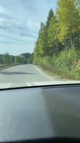 The video shows a car driving down a paved road through a forest.  The road has a white line in the middle.  There are trees on both sides of the road.  The sky is blue with some clouds.  The video is shot from the driver's perspective, showing the dashboard.