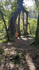 Morning forest recreation captured in Baturiti, Indonesia