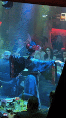 Traditional dance performance entertains diners at Belgrade restaurant