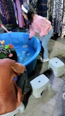 This media file captures a scene at an outdoor market or fair in Sukodono, Indonesia. The central focus is a large, bright blue inflatable pool filled with water, serving as an activity area. Several people are gathered around the pool, including children and adults.

The activity appears to be a type of fish catching or feeding game. Children are leaning into the pool, some with nets, attempting to catch small, dark fish that are swimming within. There is a green, moss-covered floating decoration in the center of the pool with colorful orange and pink flower-like ornaments. The water is agitated, indicating movement from the fish and the people's interactions.

Two white plastic stools are placed near the pool, suggesting seating for participants or observers. In the background, there are glimpses of market stalls with colorful fabrics or clothing displayed, hinting at a vibrant marketplace setting. The ground appears to be dirt or gravel, typical of an outdoor event.

The lighting suggests it is daytime, possibly late afternoon or early evening, given the shadows. The atmosphere seems lively and engaging, with the children appearing focused on the activity. There are no visible text elements within the media. The overall impression is a fun, community-oriented event.