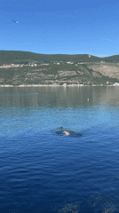 Morning swim and mirror selfies in Herceg Novi