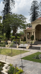 Morning wildlife activity observed at Kathmandu historical garden estate