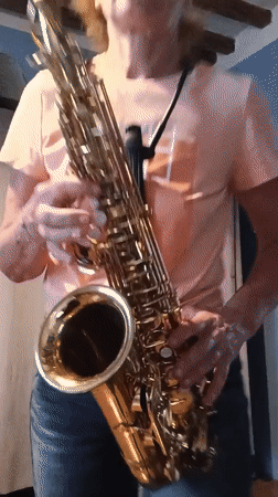 Woman plays saxophone indoors in Viadana, cat watches