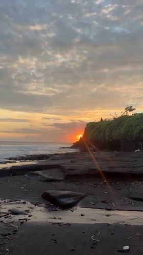 Dogs play on volcanic beach at sunset in Kediri