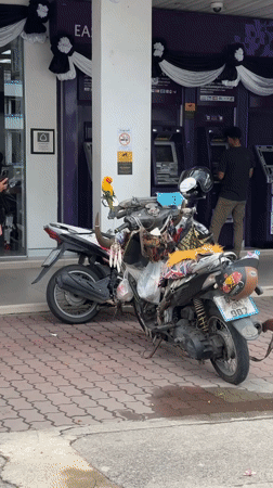 Decorated motorcycle, unusual ATM activity observed in Phuket
