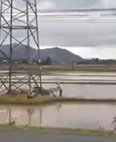 The video shows a tall, metallic power tower in the foreground. It is set against a backdrop of a flooded field or rice paddy. In the distance, there are hills or mountains under a cloudy sky. A person is visible standing on a narrow path in the flooded field, near the base of the power tower, appearing to be working or observing something. The water in the field is murky and reflects the overcast sky and surrounding structures. The scene suggests an outdoor, rural environment that has experienced significant rainfall or flooding.