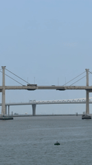 Morning harbor activity documented across Macau bridges and waterways