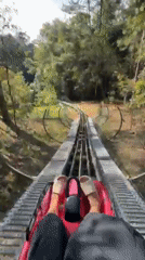 Tourists ride alpine coaster at Datanla Waterfall, Da Lat