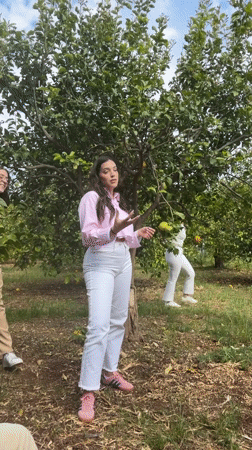 Small group meets in Italian citrus orchard near Solarino