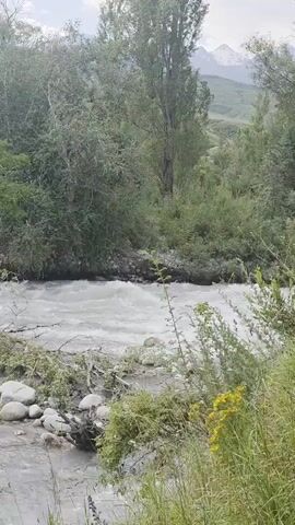 A video shows a wide river with fast-moving, white water. The riverbanks are covered with lush green trees and vegetation. In the background, mountains can be seen, with some peaks possibly covered in snow. Debris, including branches and logs, is scattered along the riverbed. The sky is overcast.