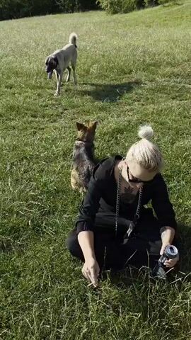 A person with blonde hair pulled into a bun, wearing sunglasses, a black shirt, and black pants, sits cross-legged on a grassy field. The person is holding a can in their right hand and what appears to be a cigarette in their left hand, with smoke rising from it. Two dogs are in front of the person. One is a medium-sized dog with brown and black fur, sitting upright and facing away from the camera. The other is a large, light-colored dog with a long tail, standing further away and facing left. A third black dog is sitting further to the right, facing the person. The background consists of a grassy field with trees and a hill covered in vegetation under a clear blue sky.