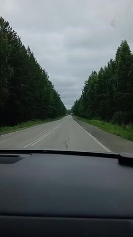 The video shows a view from inside a vehicle looking forward onto a road that extends into the distance. The road is paved and has white lines marking the lanes. On either side of the road are dense forests with tall trees. The sky is overcast with clouds. There are no visible people or other vehicles in the immediate foreground. The dashboard of the vehicle is visible at the bottom of the frame. The video appears to be a recording of a journey.