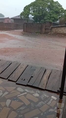 The video shows a rainy day in what appears to be a residential area. The ground is wet, and puddles are visible. A large tree with green foliage stands in the background, with houses and brick walls behind it. In the foreground, there is a wooden walkway or ramp, with water collecting on the tiles beneath. A metal pole is also visible in the foreground. The overall scene conveys a sense of quietness and dampness due to the rain.