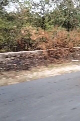 The video is a first-person perspective, likely from a helmet camera, moving along a paved road. On the left is a grassy verge with trees and some dry vegetation. On the right is the road itself. A black scooter with a rider wearing a black hijab and a pink top comes into view from the right side of the screen, moving in the same direction. The scooter has a license plate and a red taillight. The rider's arm, wearing a red and black plaid sleeve, is visible on the right side of the frame.