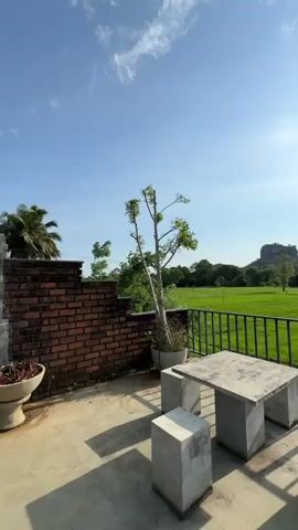The video shows a sunny day on a rooftop patio with a view of a bright green rice paddy and distant rocky hills. The patio has a brick wall on one side and a black metal railing along the edge. A concrete table and four concrete stools are centered on the patio. A potted tree stands next to the brick wall. Beyond the railing, the rice paddy stretches out to a line of trees and hills under a blue sky with scattered clouds. The sun is shining brightly, casting shadows from the railing onto the patio. There are also some lounge chairs visible on the right side of the patio.