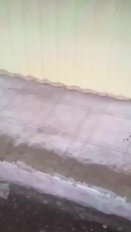 The video shows a dog lying on a tiled surface next to a building. The dog is initially curled up and then stretches out its body. The dog's fur appears light brown and fluffy. The tiled surface is wet and has a grid pattern. The building has a light yellow wall and a brown shutter. A red sign with white lettering is visible in the background. The sounds of passing traffic can be heard throughout the video.
