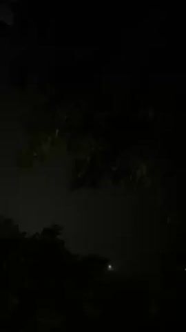 The video shows a dark scene, likely filmed at night. The visible elements consist mainly of the silhouette of tree branches against a dim, cloudy sky.  A faint light is discernible in the distance. Rain can be heard in the background.