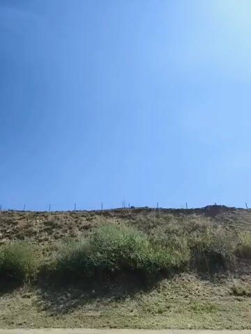 A landscape video shows a grassy hillside under a clear blue sky. The hill is covered with dry grass and some green bushes. A fence runs along the top of the hill. The camera appears to be moving forward, as the landscape slowly passes by.