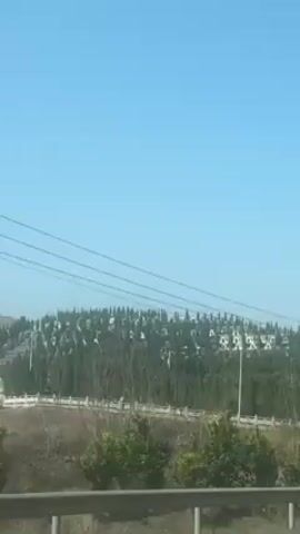 The video shows a cemetery on a hillside with many gravestones and trees. The camera is moving, likely inside a vehicle, and electrical wires are visible overhead. A tree with bare branches passes in front of the camera. The sky is clear and blue.