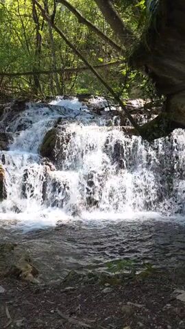 A small waterfall cascades down mossy rocks into a shallow pool. Trees surround the waterfall, and the scene is sunlit. There is a log in the foreground on the right. The camera pans slightly to the left to reveal more of the forest.