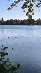 Quiet lakeside scene in Potsdam as summer fades to autumn