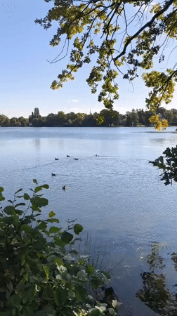 Quiet lakeside scene in Potsdam as summer fades to autumn