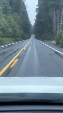A car is driving on a wet, paved road through a forest. The road has double yellow lines in the center and a white line on the right side. Tall evergreen trees line both sides of the road. The sky is overcast, suggesting it is raining or has recently rained. The view is from the perspective of the driver, looking forward.