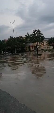 The video shows a wet, possibly rainy, outdoor scene. The ground is covered in puddles of water, reflecting the surrounding environment. In the background, there is a large sign that reads "559 TRẠM DỪNG NGHỈ". Behind the sign is a building with a red roof, possibly a rest stop or station as suggested by the sign. There are trees and streetlights scattered around the area. The sky is overcast, indicating gloomy weather.  The general impression is a wet and quiet roadside area. There are no people moving.