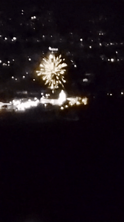 Person pets white dogs near street lamp in Portugal