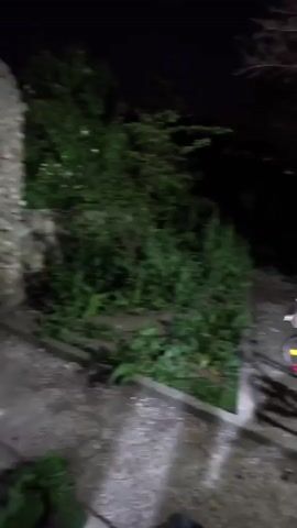 The video shows a stone archway leading into a dark area with greenery, followed by a scene of a black dog sitting on a stone ledge by a window inside a building. The dog is wearing a collar. The interior has stone accents on the wall and a dark wooden door nearby. There is an air conditioning unit visible above the window.
