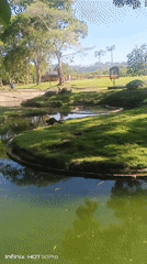Zoo visit in Caracas with wildlife viewing and pirate ship