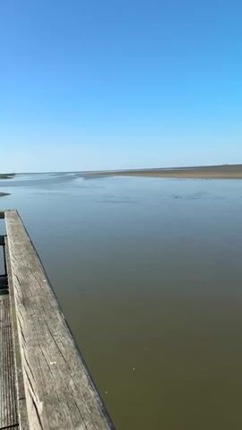 A wooden walkway juts into a wide, calm body of water. The walkway is in the foreground, and its weathered planks and railing are clearly visible. The water extends into the distance, reflecting the clear blue sky. The horizon is a flat line, suggesting a large expanse of land or shallow water. The scene is tranquil and natural, with no people or other obvious distractions. The overall impression is one of peacefulness and openness.
