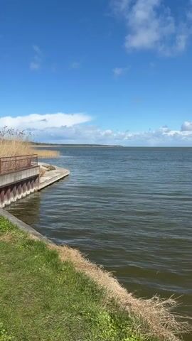 The video features a panning shot of a large body of water, likely a lake or bay, under a clear blue sky with scattered white, fluffy clouds. The camera moves from left to right, revealing the expansive water. In the foreground on the left, there is a concrete structure that appears to be a small dock or pier, with a metal railing. Adjacent to this structure is a grassy bank with some dried reeds or grass. The water itself is dark green-blue and shows gentle ripples, suggesting a light breeze. In the distance, a faint landmass or shoreline is visible under a band of clouds along the horizon. The overall scene is calm and peaceful, bathed in natural daylight. No people or visible text are present in the video. The location is Lesnoy, Russia.
