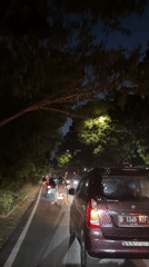 Nighttime traffic observed on tree-lined West Jakarta street