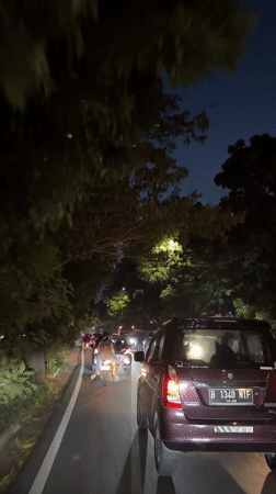 Nighttime traffic observed on tree-lined West Jakarta street