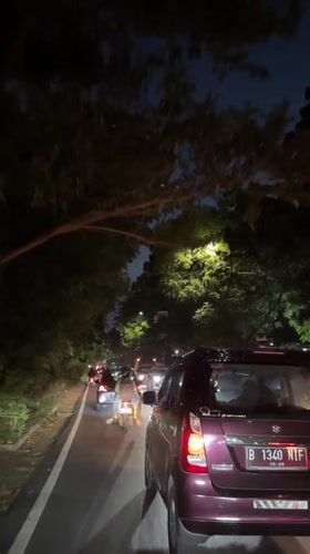 Nighttime traffic observed on tree-lined West Jakarta street