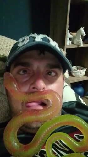 Fake snakes, a blue cap, and a very committed bit