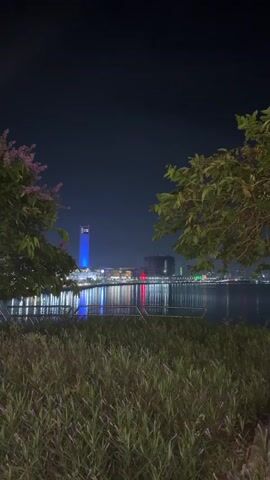 A vertical nighttime video shows a body of water in the foreground with tall grass and foliage framing the lower edges of the screen. Across the water, a cityscape is visible, illuminated by various colored lights. A prominent blue-lit tower stands out in the distance. The sky is dark, indicating it is night. The water reflects the lights from the city.