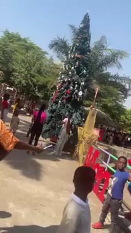 The video shows an outdoor scene with a tall Christmas tree in the foreground. The tree is decorated with red and white ornaments, garland, and candy cane decorations. Several people are gathered around the tree. Two women are standing close to the tree, examining it. A small child in a yellow tracksuit walks near the tree. There's an elaborate yellow star structure with a large "Love" sign nearby. Other people are seen walking around in the background, suggesting a public space or park. The weather appears sunny and clear.  A palm tree is also visible in the background behind the Christmas tree.