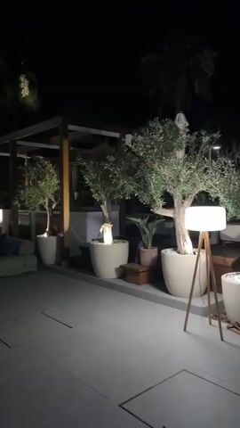 The video shows an outdoor patio area at night. It features several potted olive trees with uplighting, a floor lamp with a white shade and wooden tripod base, and a wooden fence with accent lighting. In the background, two people are walking away from the camera down a path, and another person is walking towards the camera.