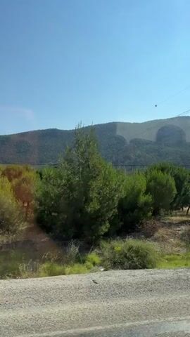 A vertical, eye-level shot from a moving vehicle shows a landscape under a clear blue sky. In the foreground, a dirt road runs horizontally across the bottom of the frame. To the left and right of the road are patches of dry grass and sparse vegetation. A short, thin, white pole stands in the middle left of the frame. Beyond the road, a cluster of green trees dominates the middle ground, with a few taller, more distant trees and foliage visible behind them. In the background, a large, hazy, tree-covered hill or mountain range stretches across the horizon. Several power lines with large insulators are visible against the sky, running diagonally from the upper left to the upper right of the frame. One small, dark object, possibly a bird or debris, is visible near the power lines in the upper middle of the frame. The sun appears to be shining from the right, casting shadows. The scene suggests a rural or natural environment during the daytime.