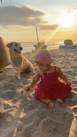 Baby plays with dog on North Kuta beach at sunset