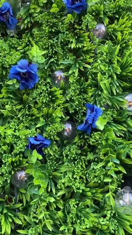 The video shows a close-up view of a green, artificial plant wall. Scattered amongst the foliage are several bright blue artificial flowers and small, clear glass light bulbs. The lighting appears to be a mix of ambient light and the warm glow from the bulbs. The camera is moving slightly, giving a dynamic perspective of the textured surface of the wall. There are no people or animals visible in the frame. The overall impression is one of decorative outdoor or indoor landscaping.