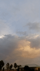 Rural Nigerian landscape documented under dramatic cloudy skies