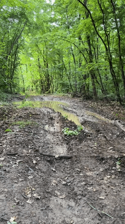 Vehicle navigates muddy forest road in Bulgaria